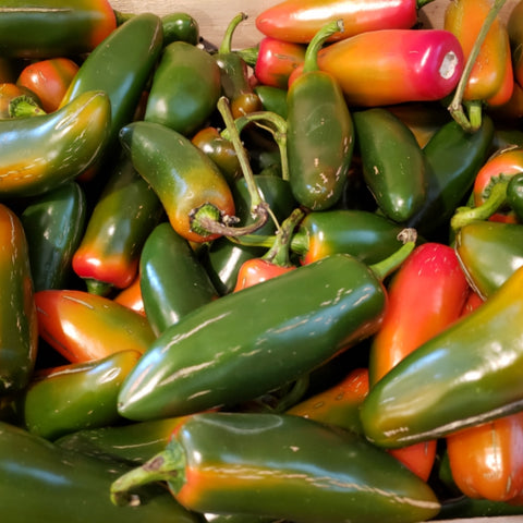 Jalapeno Peppers Organic