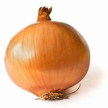 Onion Jumbo