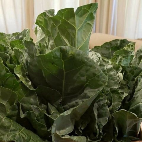 Collard Greens, Cut