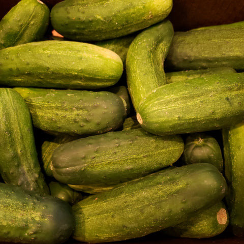 Cucumbers