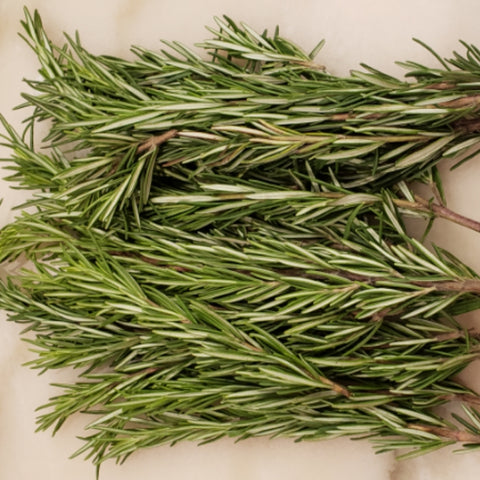 Fresh Rosemary