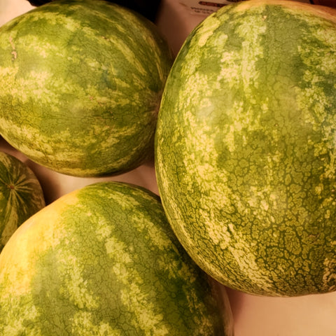 Watermelon large