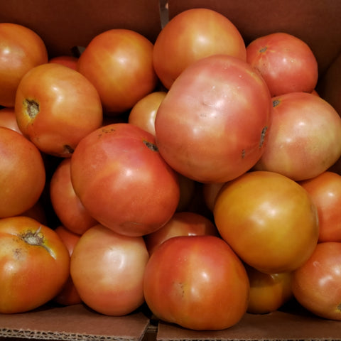 Tomatoes