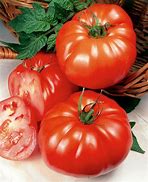 Beefsteak tomatoes