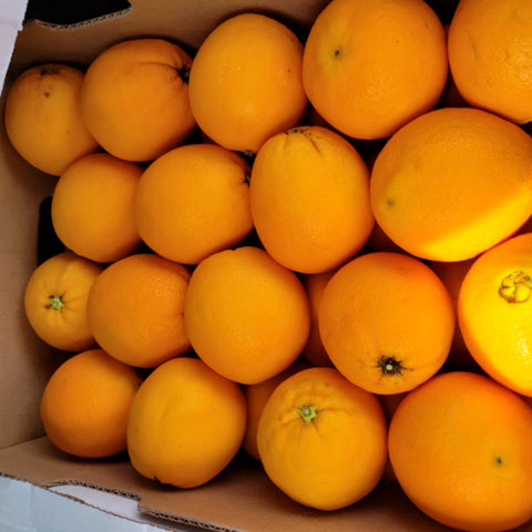 Cara Cara Oranges