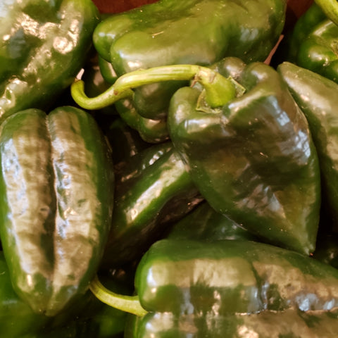 Poblano Peppers