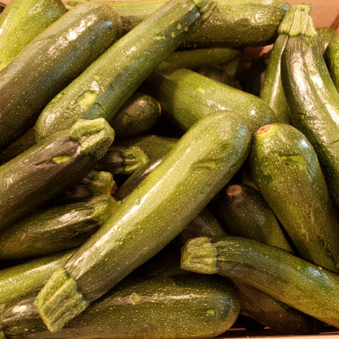 Green Zucchini Organic