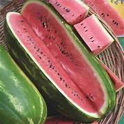 Seeded Watermelon